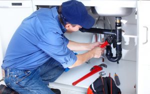 Picture of a professional plumber