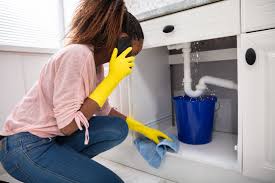 mobile-emergency-plumber