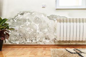 water damage in wall