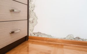 who to call for water damage repair